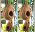 One Hanging Bird Nest with two birds & plant for home and garden decor. Babui Pakhir Bas....