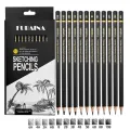 Professional Drawing Sketching Pencil Set, 12 Pieces Art Pencils Graphite Shading Pencils for Beginners & Pro Artists. 