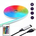 5V LED RGB Strip Light Neon USB Flexible Silicone Lights 1M Remote Control Waterproof SMD 3535 612Leds Tape Decoration for Room. 