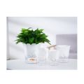 Transparent Plastic Self Watering Flowerpot Cotton Rope Automatic Suction Planter for Desk Garden Lazy Self-Absorbing Plants Pot. 