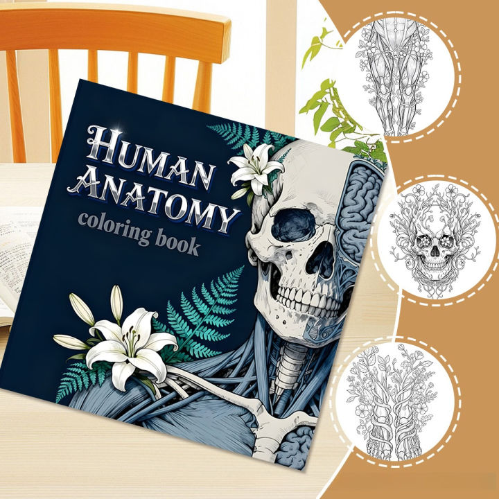 Human%20Anatomy%20Coloring%20Book%2024%20Pages%20Medical%20Illustrations%20for%20Students%20Nurses%20Stress%20Relief%20Learning%20%20-%20Image%203