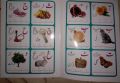 Wipe & Clean Writing | 4-Book Set Capital, Small, Counting & Urdu alphabet | With marker. 