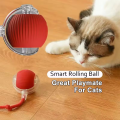 Hot Electric Dog Ball Toys Automatic Rolling Ball Rechargeable Smart Pet Interactive Plush Toy Dog Cat Training Imitate Mouse.