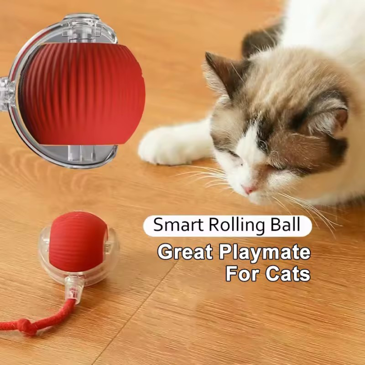 Hot%20Electric%20Dog%20Ball%20Toys%20Automatic%20Rolling%20Ball%20Rechargeable%20Smart%20Pet%20Interactive%20Plush%20Toy%20Dog%20Cat%20Training%20Imitate%20Mouse%20-%20Image%202