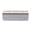 1 Set Porcelain Dentist Dental Material Equipment Teeth Whiting VITA Pan Classial. 