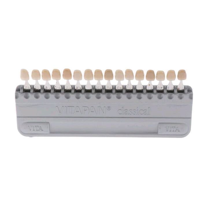 1 Set Porcelain Dentist Dental Material Equipment Teeth Whiting VITA Pan Classial