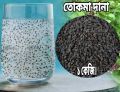 Super quality Tokma Dana Basil Seeds (waight: 1kg).. 