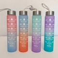 300ml 1pc Gradient Frosted Water Bottle. 