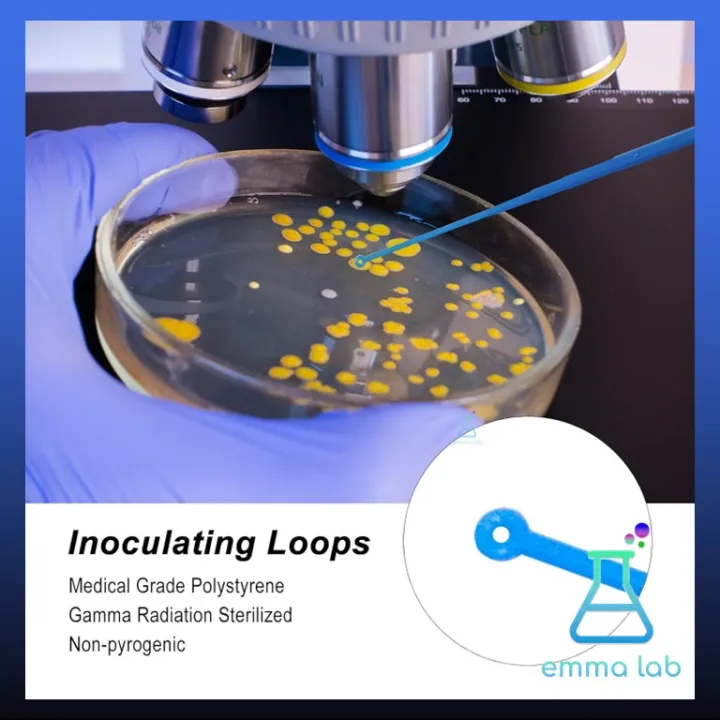 Sterile%20inoculating%20loop%20size%201,10%20ul%20pack%2010%20PCs%20scientific%20equipment%201,10%20microL%20sterile%20plastic%20stirrer,%20sterile%20inoculating%20loop%20size%20ul%20pack%20-%20Image%204