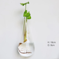 Hanging Glass Terrarium - Semi-Circular Hydro Planter for Wall Decor, Fish Tank & Plant Display home decoration item.