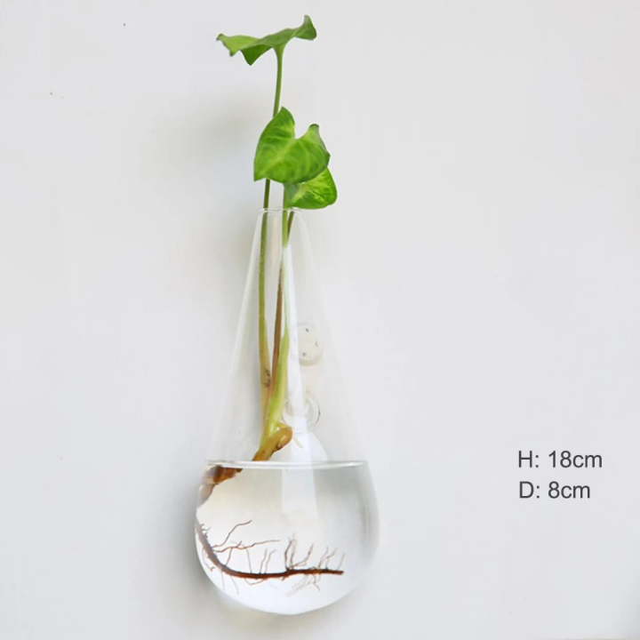 Hanging%20Glass%20Terrarium%20-%20Semi-Circular%20Hydro%20Planter%20for%20Wall%20Decor,%20Fish%20Tank%20&%20Plant%20Display%20home%20decoration%20item%20-%20Image%205