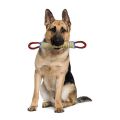 Training dogs to use coarse jute chew sticks to pick up molars, dog chew sticks, German shepherd dog chew pillows. 