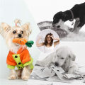 10/20/50 Pack Dog Squeaky Toys Plush Games Cute Plush Toys for Small Medium Dog Fleece Toys Wholesale. 