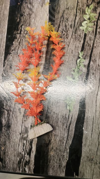 aquarium%20waterproof%20%20decorative%20artificial%20plant%2022cm%20height%201piece%20-3pieces%20-%20Image%208