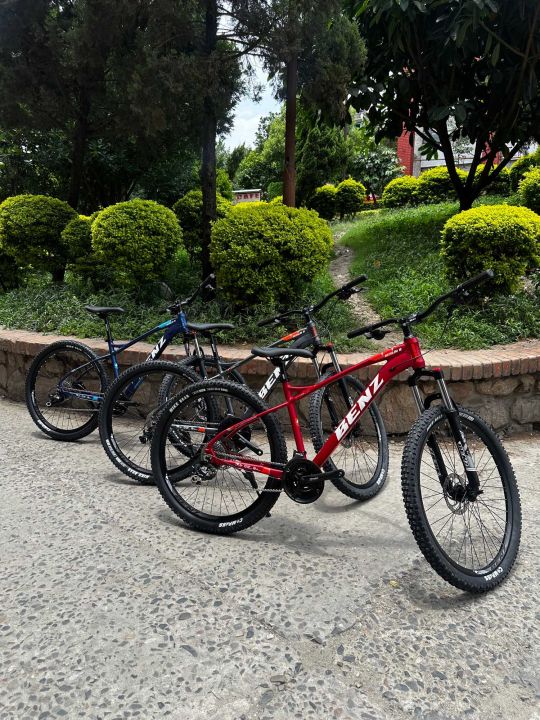 Benz%20Berlin%208%20Professional%20MTB%20-%20Image%202