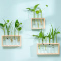 Hydroponic Plants Container with Wood Frame Transparent Glass Test Tube Vase Flower Pot Home Tabletop Bonsai Decorations Crafts. 