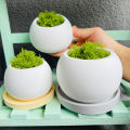 Spherical Flowerpot Silicone Mold DIY Candle Cup Jewelry Storage Box Plaster Resin Vessel Planters Concrete Casting Mould. 