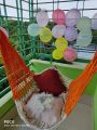 porosmoni dolna with China cotton in  capacity  180 kg. 