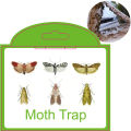 SilentKing 6PCS Moths Traps Pantry Clothes Kitchen Food Home Garden Pest Control Moth Traps Pheromone Moths Sticker Moths Trap. 