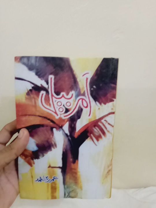 Amar%20Bail%20by%20Umera%20Ahmad%20Best%20selling%20urdu%20reading%20book%20Amar%20Bail%20By%20Umera%20Ahmed%20Novel%20best%20selling%20urdu%20reading%20book%20-%20Image%203