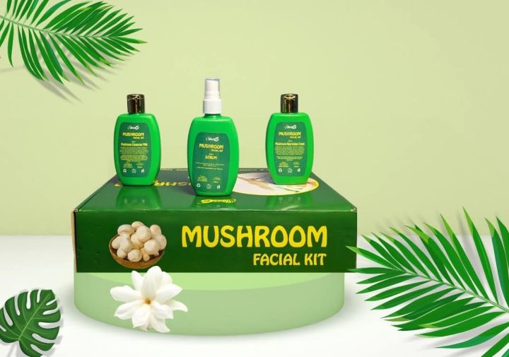 Mushroom%20Facial%20Kit%20Silver%20Six%206%20Company%20-%20Image%202