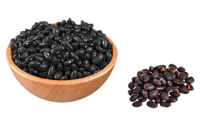 Velvet Bean - 100g