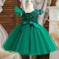 Wedding Party Dresses for Baby Girls 2024 New Sequin Princess Birthday Christmas Gown for 1-5Y Kids Elegant Formal Evening Dress. 