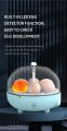 2+1 Incubator (Double Tray )
Both Eggs Tray in One Incubator ☺️

06 Chicken Eggs & 25 small Eggs. 