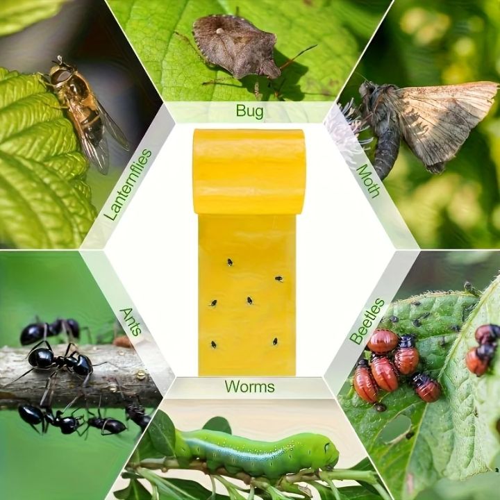 1%20Roll%20of%20Yellow%20Double-sided%20Insect%20Proof%20Tape%20To%20Prevent%20Insects,%20Ants,%20and%20Moths%20From%20Climbing.%20Outdoor%20Garden%20Insect%20Trap%205M%20-%20Image%202