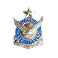D Wise Aircraft Lapel Pin Brooch Airplane Pin Golden And Silver. 