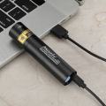 Mini 365/395nm UV Flashlight USB Rechargeable Ultraviolet Pet Urine Cat Tinea Money Ore Scorpion Fluorescent Checker Lamp.