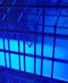 Led Mosquito Killing Lamp ( Pest Killer) 20 Watt 1 feet.