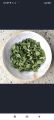 wild dry mint. 