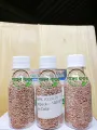 NPK Fertilizer 10:26:26 Plant Food for all purposes REPACK 50 gm Water Soluble Fertilizer For Plant Indian.