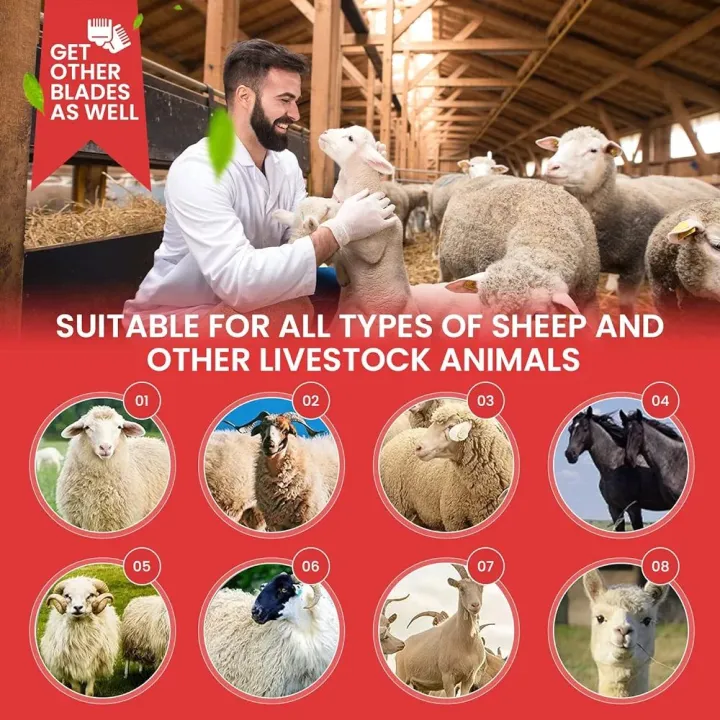 Sheep%20Shears%20Pro%20110V%20500W%20Professional%20Heavy%20Duty%20Electric%20Shearing%20Clippers%20with%206%20Speed,%20for%20Shaving%20Fur%20Wool%20in%20Sheep,%20Goats,%20Cattle,%20Other%20Farm%20Livestock%20Pet,%20with%20Grooming%20Carrying%20Case%20CE%20-%20Image%206