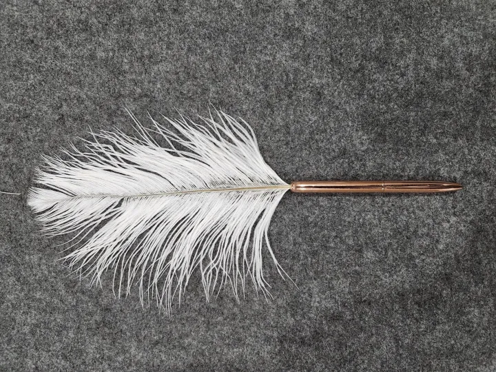 WEDDING%20SIGNATURE%20PEN%20METALLIC%20FEATHER%20PEN%20-%20Image%204