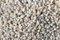 Barley Rice - 100g. 