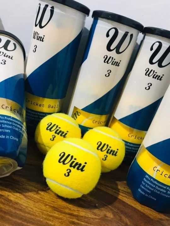 Wini Cricket Ball 3Balls