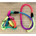 Durable Nylon Rainbow 1.2M Pet Cat Leash Walking Training Leash. 