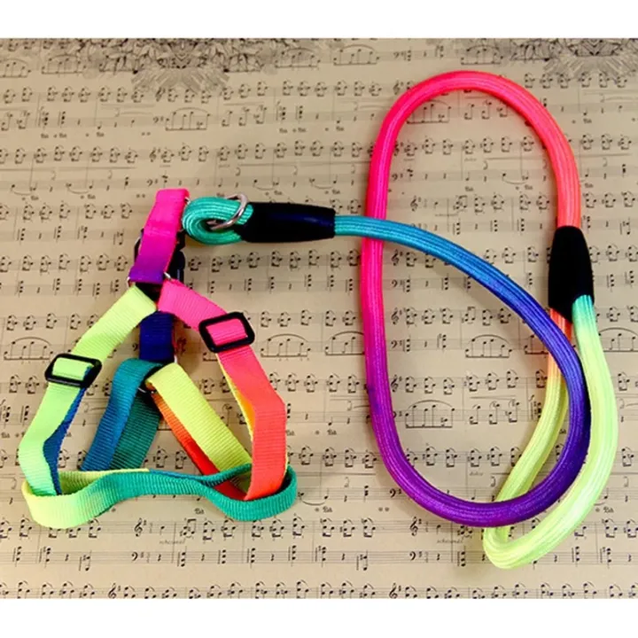 Durable Nylon Rainbow 1.2M Pet Cat Leash Walking Training Leash