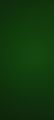 green long frock. 