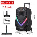 NDR V12 Big Bluetooth Party Speaker Rechargeable Speaker with  Bluetooth  Mike -22 inches. 