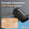 DS-K2 Karaoke Companion Bluetooth 5.3 Wireless Dynamic Micrphone RGB Lights KTV DSP Mixer System 3.5MM AUX Type-C Amplifier Host. 
