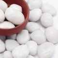 5 Kg. White Big Stones / Pebbles for Garden and Aquarium (5 Kg Pack). 