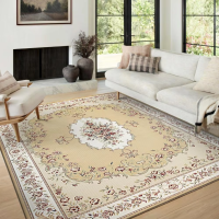 VIKAMA Thin Living Room Carpet Large Area Rug Machine Washable Doormat Floor Mat Rug For Bedroom Home Decoration Outdoor Carpet