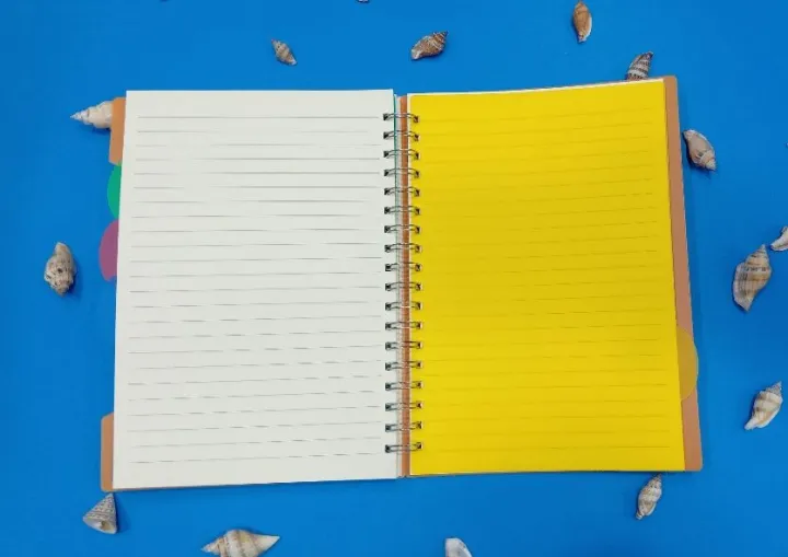 4%20subject%20notebook%20double%20spiral%20notebook%20string%20pp%20cover%20B5%20notebook%20105%20sheets%20-%20Image%204