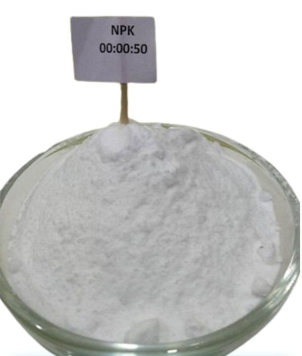 Npk%2000%2000%2050%20potassium%20sulphate%20500%20gm%20repack%20SOP%20fertilizer%20sulphate%20of%20Potash%20%0AFor%20Plants%20Water%20Soluble%20Fertilizer%20VEGETABLES%20FLOWER%20HYDROPONICS%20and%20FRUITS%20Aries%20Agro%C2%A0%20Indian%20-%20Image%203