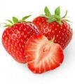 Red Strawberry seed 15 pcs & Red Dragon seed 15 pcs. (Repack & Gift- 4 items.). 