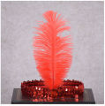 Gatsby feather sequins headband women Classic hair accessories fancy old kids retro party ornament adult cosplay pageant party cosplay pageant. 