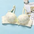 Gathering Show Large French Underwear Women Collect Side Breasts Upturned Bra Without Steel Ring Underwear Set. 